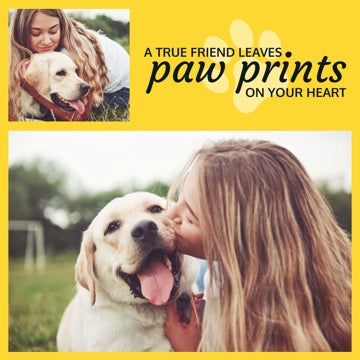 Picture of Paw prints - 8x8