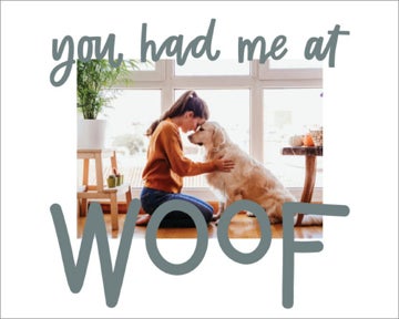 Picture of You had me at Woof - 11x14