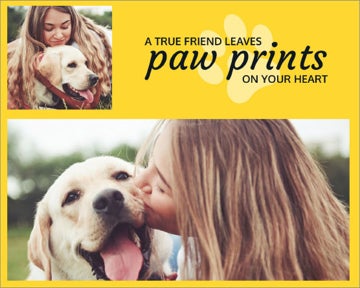 Picture of Paw prints - 11x14