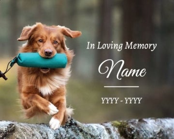 Picture of In Loving Memory - 18x24
