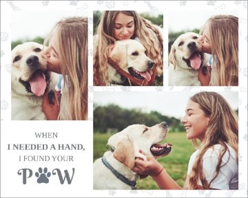 Picture of Paw - 18x24