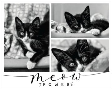 Picture of Meow Power - 30x40