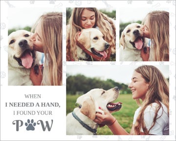 Picture of Paw - 30x40