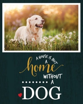 Picture of House is not a home - 20x16