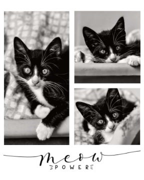 Picture of Meow Power - 20x16