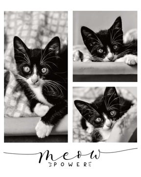 Picture of Meow Power - 24x18