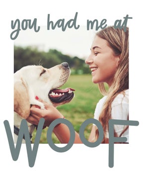 Picture of You had me at Woof - 36x24