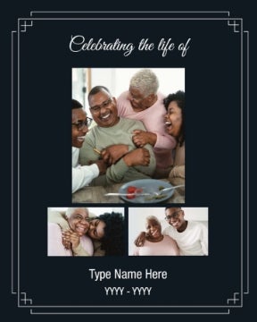 Picture of Celebrating the life - 20x16