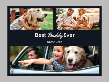 Picture of Pets-02 50x60 Fleece