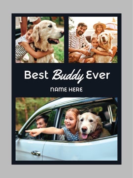 Picture of Pets-02 60x50 Fleece