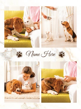 Picture of Pets-06 60x50 Fleece