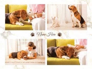 Picture of Pets-06 60x80 Plush (No Bleed)