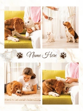 Picture of Pets-06 80x60 Plush (No Bleed)