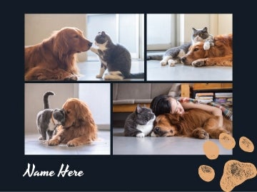 Picture of Pets-07 50x60 Fleece