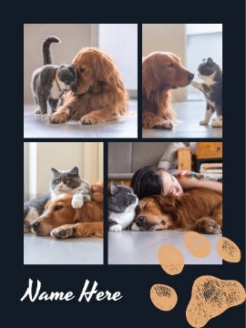 Picture of Pets-07 80x60 Plush (No Bleed)