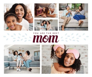 Picture of Parent-08 50x60 Sherpa