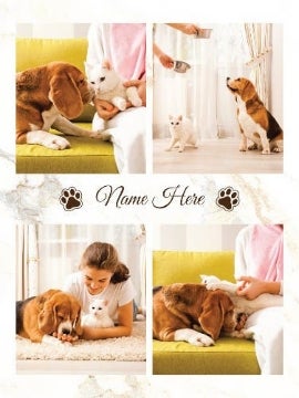 Picture of Pets-06 40x30 Plush Fleece (No Bleed)