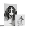 Picture of Pet Portrait