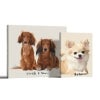 Picture of Pet Portrait