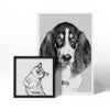 Picture of Pet Portrait