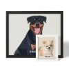 Picture of Pet Portrait