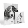 Picture of Pet Portrait