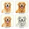 Picture of Pet Portrait